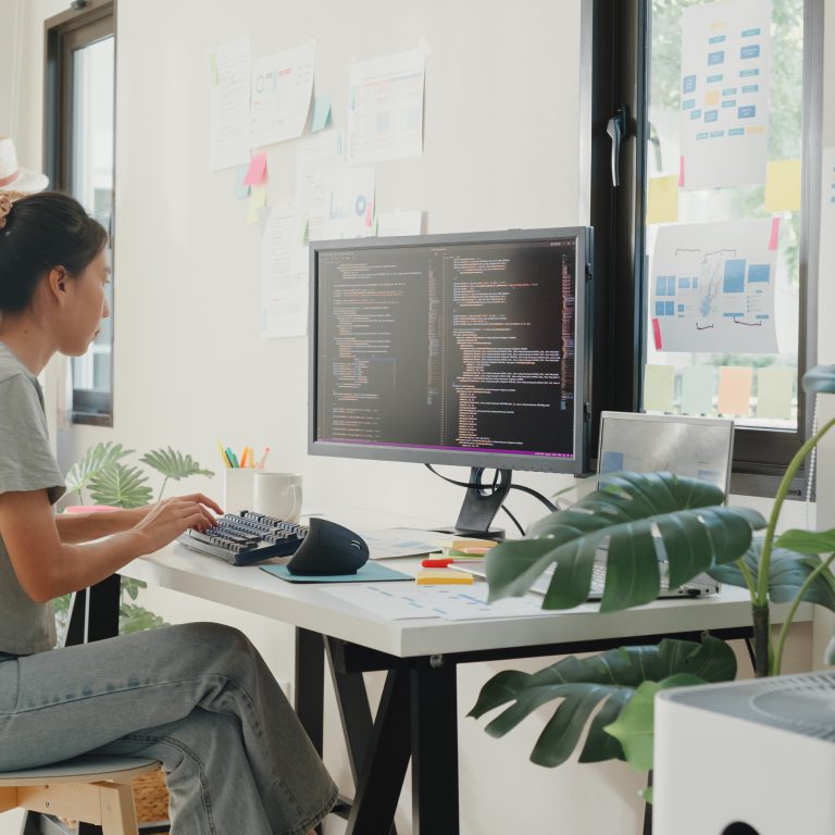 Professional web designer